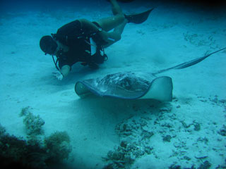 ATLANTIDA CENTRO DE BUCEO - Guía Multimedia